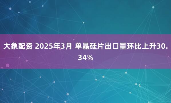 大象配资 2025年3月 单晶硅片出口量环比上升30.34%
