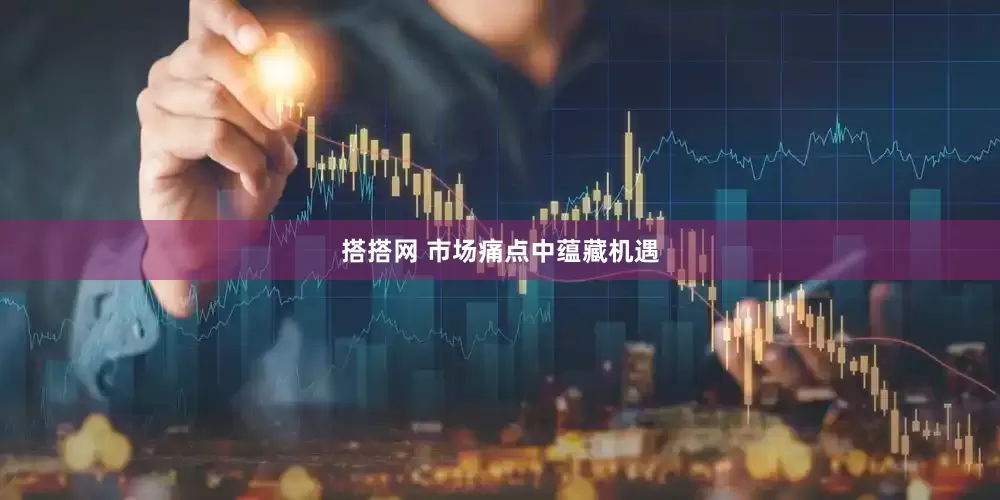 搭搭网 市场痛点中蕴藏机遇