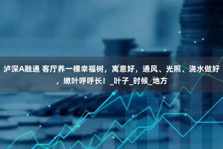 泸深A融通 客厅养一棵幸福树，寓意好，通风、光照、浇水做好，嫩叶呼呼长！_叶子_时候_地方