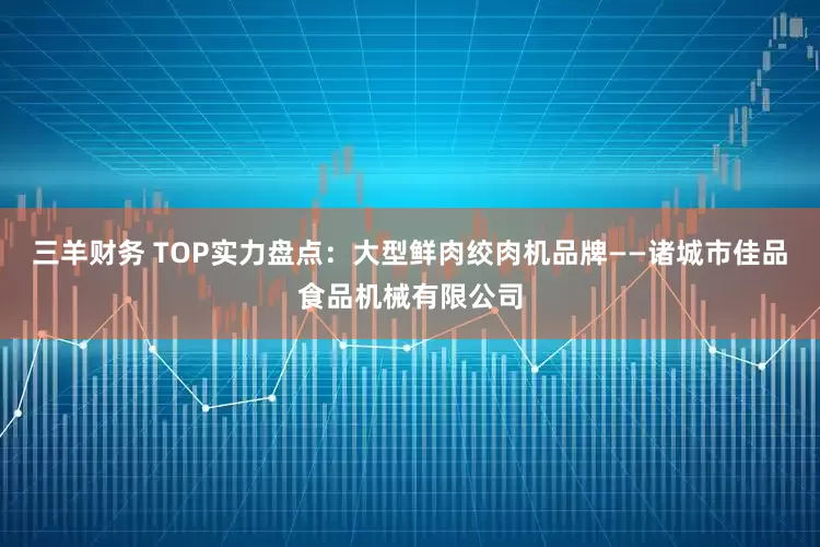 三羊财务 TOP实力盘点：大型鲜肉绞肉机品牌——诸城市佳品食品机械有限公司